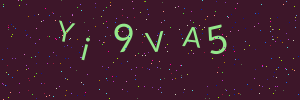 Validation image